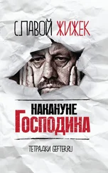 Славой Жижек - Накануне Господина - сотрясая рамки