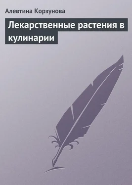 Алевтина Корзунова Лекарственные растения в кулинарии обложка книги