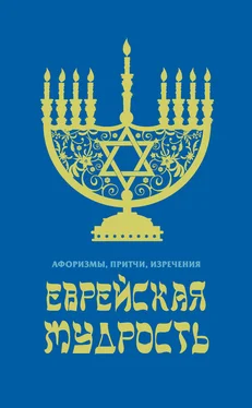 В. Черепенчук Еврейская мудрость. Афоризмы, притчи, изречения обложка книги