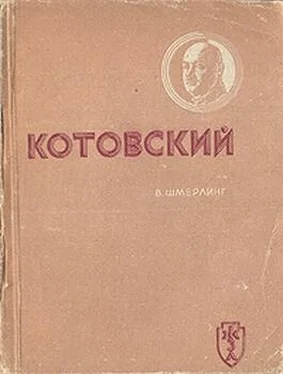 Владимир Шмерплинг Котовский обложка книги