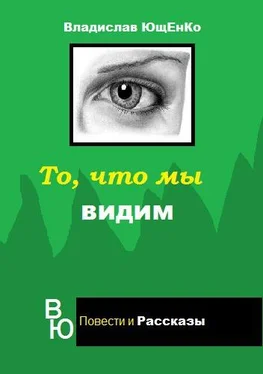 Владислав Ющенко То, что мы видим (СИ) обложка книги