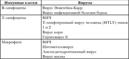 Поведение ВИЧ напоминает стратегию и тактику ведения войны опытным противником - фото 15