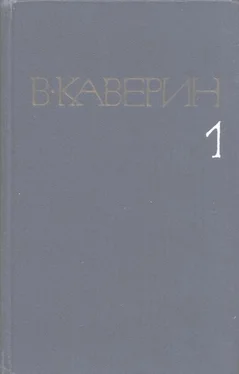 Вениамин Каверин Пятый странник