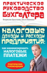 Владислав Брызгалин - Налоговые доходы и расходы предприятия  - как минимизировать налоговые платежи