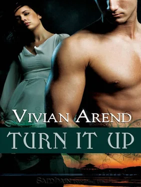 Vivian Arend Turn It Up обложка книги