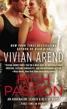 Vivian Arend High Passion обложка книги