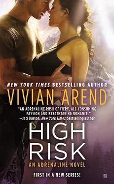 Vivian Arend High Risk обложка книги