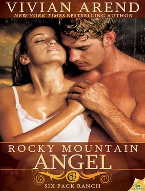 Vivian Arend Rocky Mountain Angel обложка книги