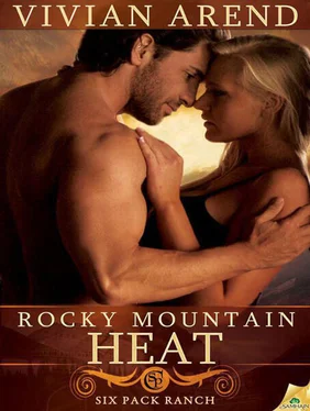 Vivian Arend Rocky Mountain Heat обложка книги