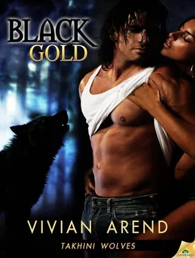 Vivian Arend Black Gold обложка книги