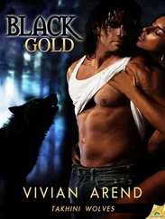 Vivian Arend - Black Gold