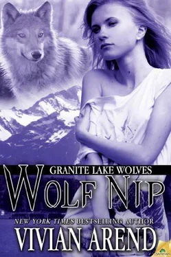 Vivian Arend Wolf Nip Split обложка книги