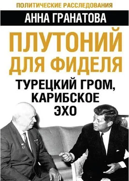 Анна Гранатова Плутоний для Фиделя. Турецкий гром, карибское эхо обложка книги