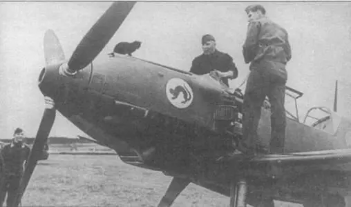 Кот на капоте Me 109Е1 красная 10 служил живым талисманом и стал прототипом - фото 75