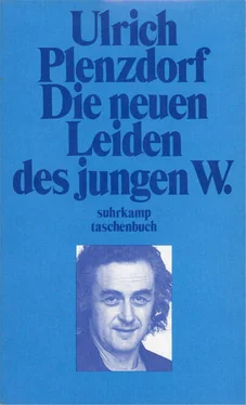 Ulrich Plenzdorf Die neuen Leiden des jungen W. обложка книги