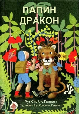 Рут Ганнетт Папин дракон обложка книги