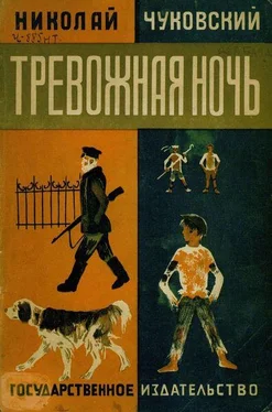 Николай Чуковский Тревожная ночь обложка книги