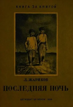 Леонид Жариков Последняя ночь обложка книги