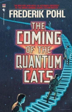 Frederik Pohl The Coming of the Quantum Cats обложка книги