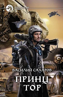 Василий Сахаров Принц Тор обложка книги