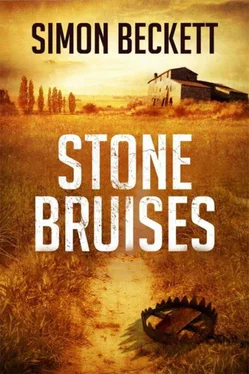 Simon Beckett Stone Bruises обложка книги