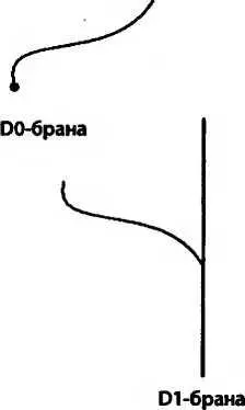 Dlбраны часто называют Dструнами потому что они одномерны и сами являются - фото 196