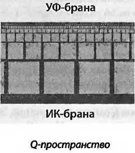 Представьте себе струноподобную частицу помещенную в Qпространство вблизи - фото 222