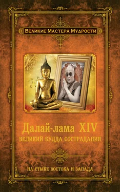 Алан Джейкобс Далай-лама XIV. Великий Будда Сострадания обложка книги
