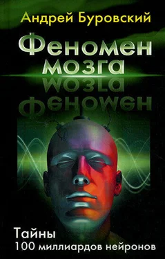 Андрей Буровский Феномен мозга. Тайны 100 миллиардов нейронов обложка книги