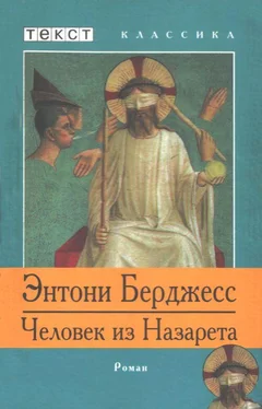 Энтони Берджесс Человек из Назарета обложка книги