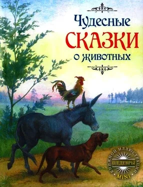 Якоб Гримм Чудесные сказки о животных обложка книги