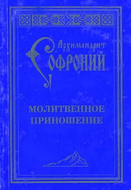 Софроний Сахаров Молитвенное приношение старца Софрония обложка книги