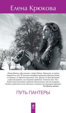 Елена Крюкова Путь пантеры обложка книги