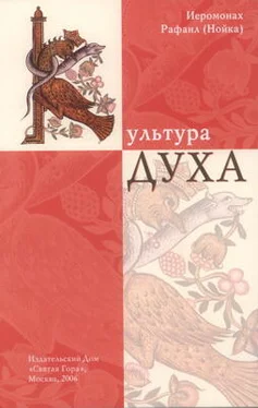 Рафаил Нойка Культура Духа обложка книги