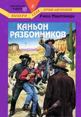 Рэмси Монтгомери Каньон разбойников обложка книги