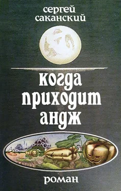 Сергей Саканский Когда приходит Андж