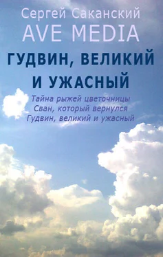 Сергей Саканский Гудвин, великий и ужасный обложка книги