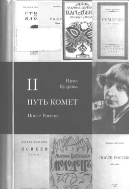 Ирма Кудрова Путь комет. После России обложка книги