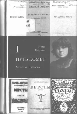 Ирма Кудрова Путь комет. Молодая Цветаева обложка книги