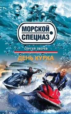 Сергей Зверев День курка обложка книги