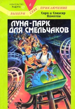 Сара Комптон Луна-парк для смельчаков обложка книги