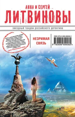 Анна и Сергей Литвиновы Незримая связь обложка книги