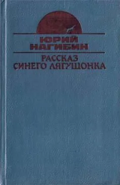 Юрий Нагибин Постоянный подписчик обложка книги