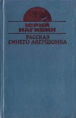 Юрий Нагибин - Постоянный подписчик