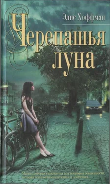 Элис Хоффман Черепашья луна обложка книги