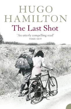 Hugo Hamilton The Last Shot обложка книги