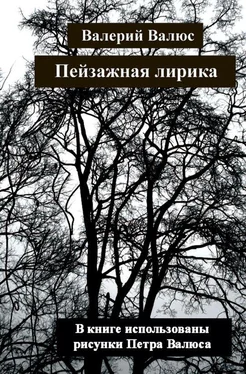 Валерий Валюс Пейзажная лирика обложка книги