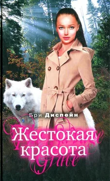 Бри Диспейн Жестокая красота обложка книги