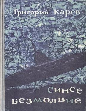 Григорий Карев Синее безмолвие обложка книги