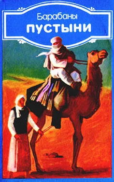Али аль-Мисурати Барабаны пустыни обложка книги